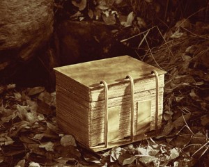 Book of Mormon record